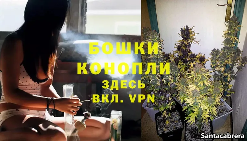 MEGA ТОР  Владивосток  Каннабис White Widow 